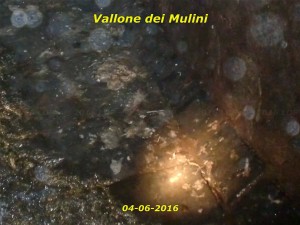 Vallone dei Mulini, residui fecali carta igienica Foto L. De Paquale